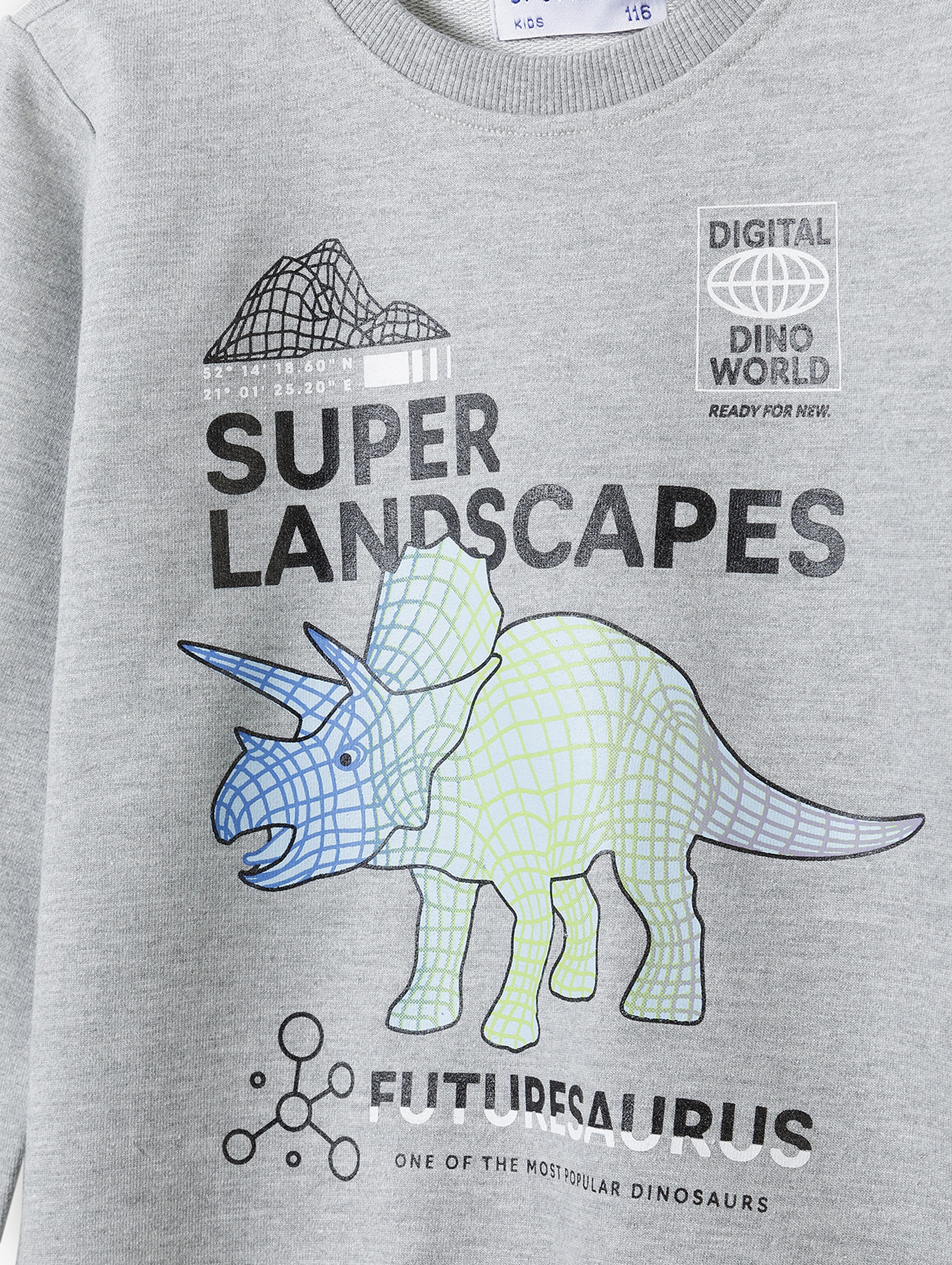 Szara cienka bluza chłopięca z nadrukiem dinozaura