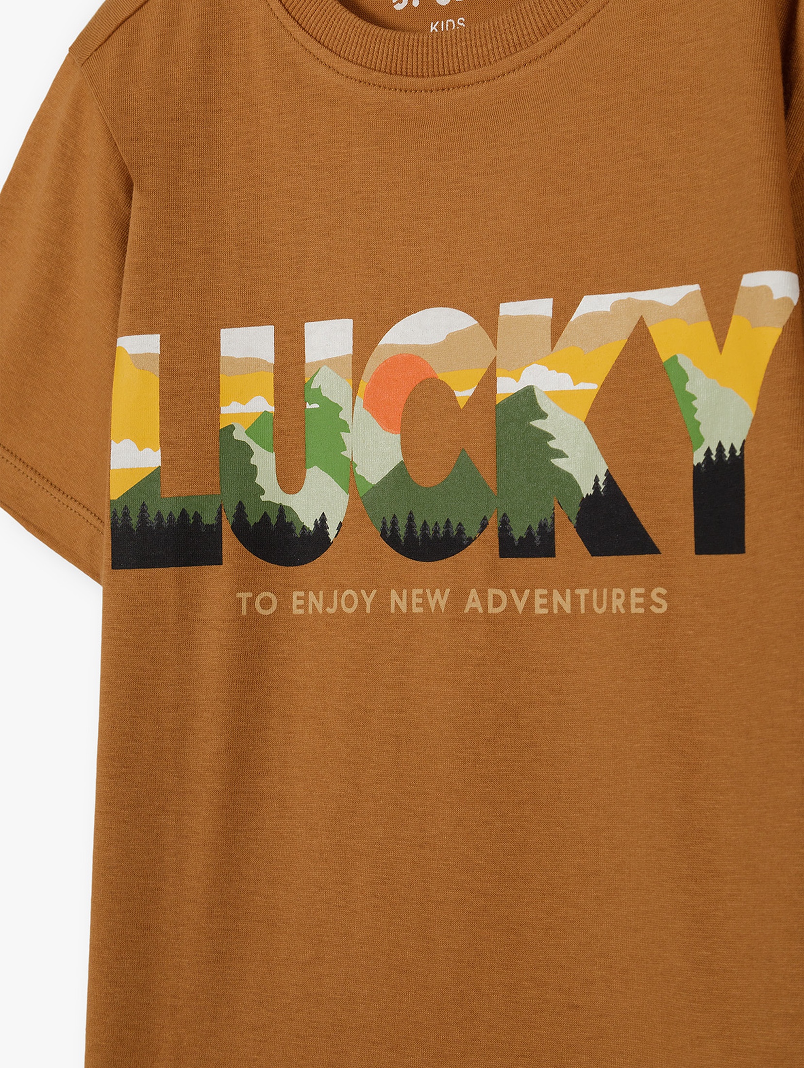 Brązowy t-shirt chłopięcy bawełniany- Lucky