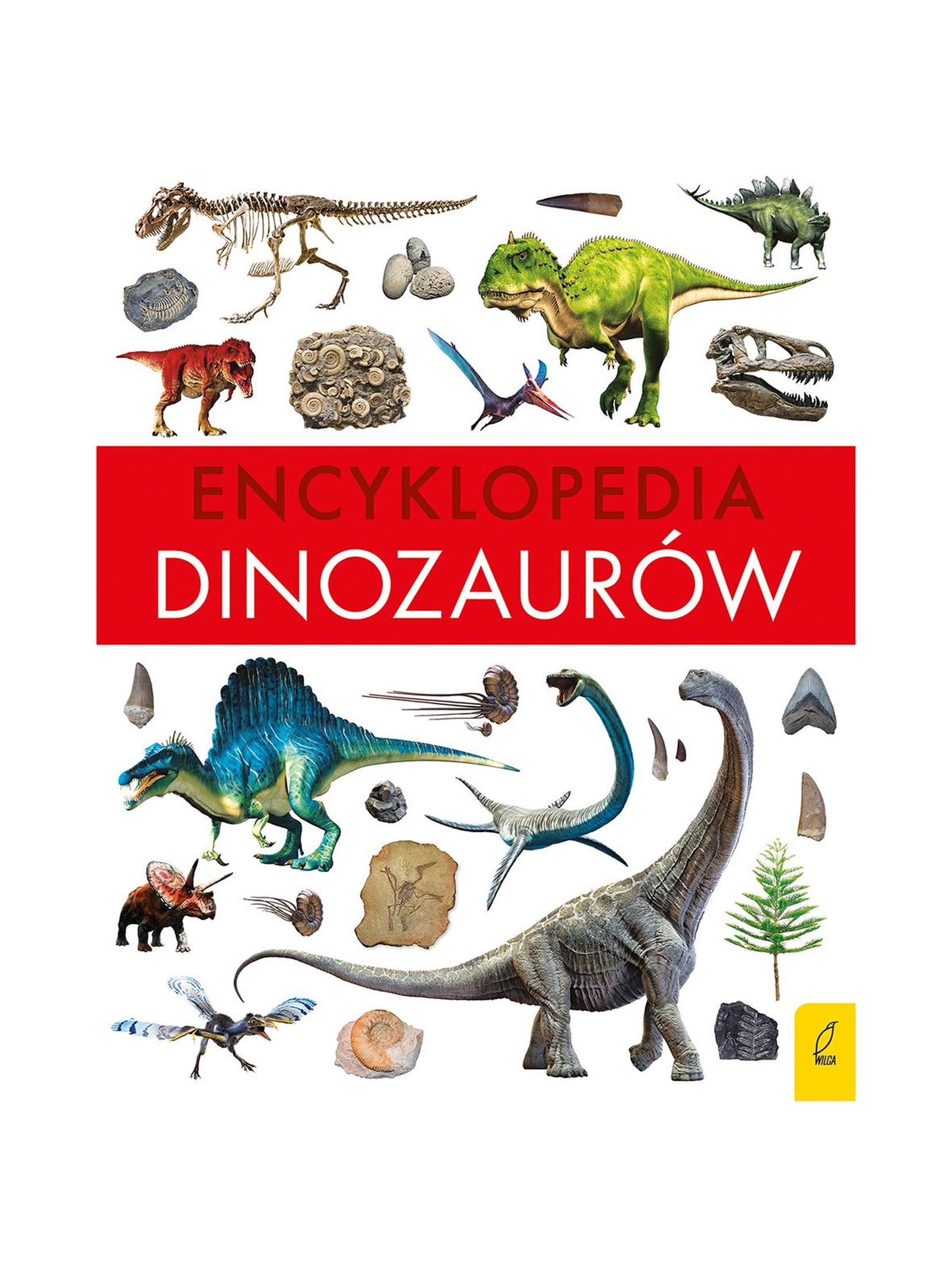 Encyklopedia dinozaurów - książka dla dzieci