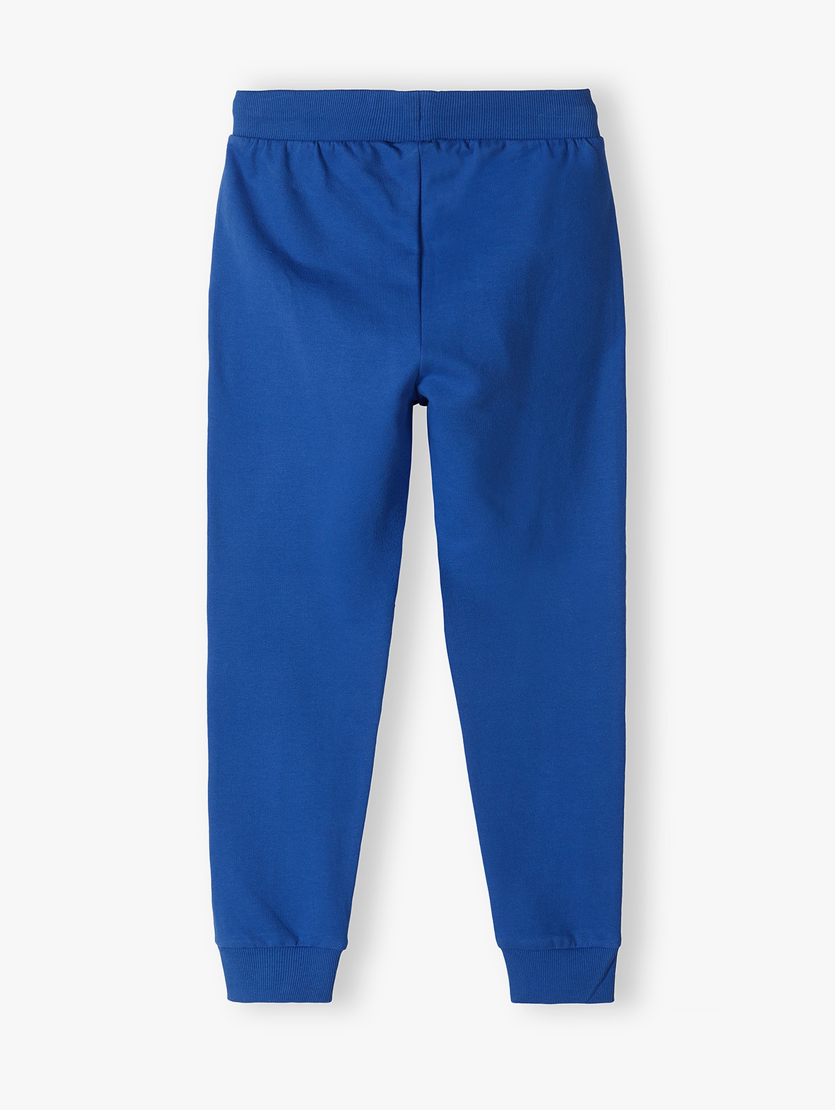 Spodnie dresowe dla chłopca - niebieskie - slim - Lincoln&Sharks