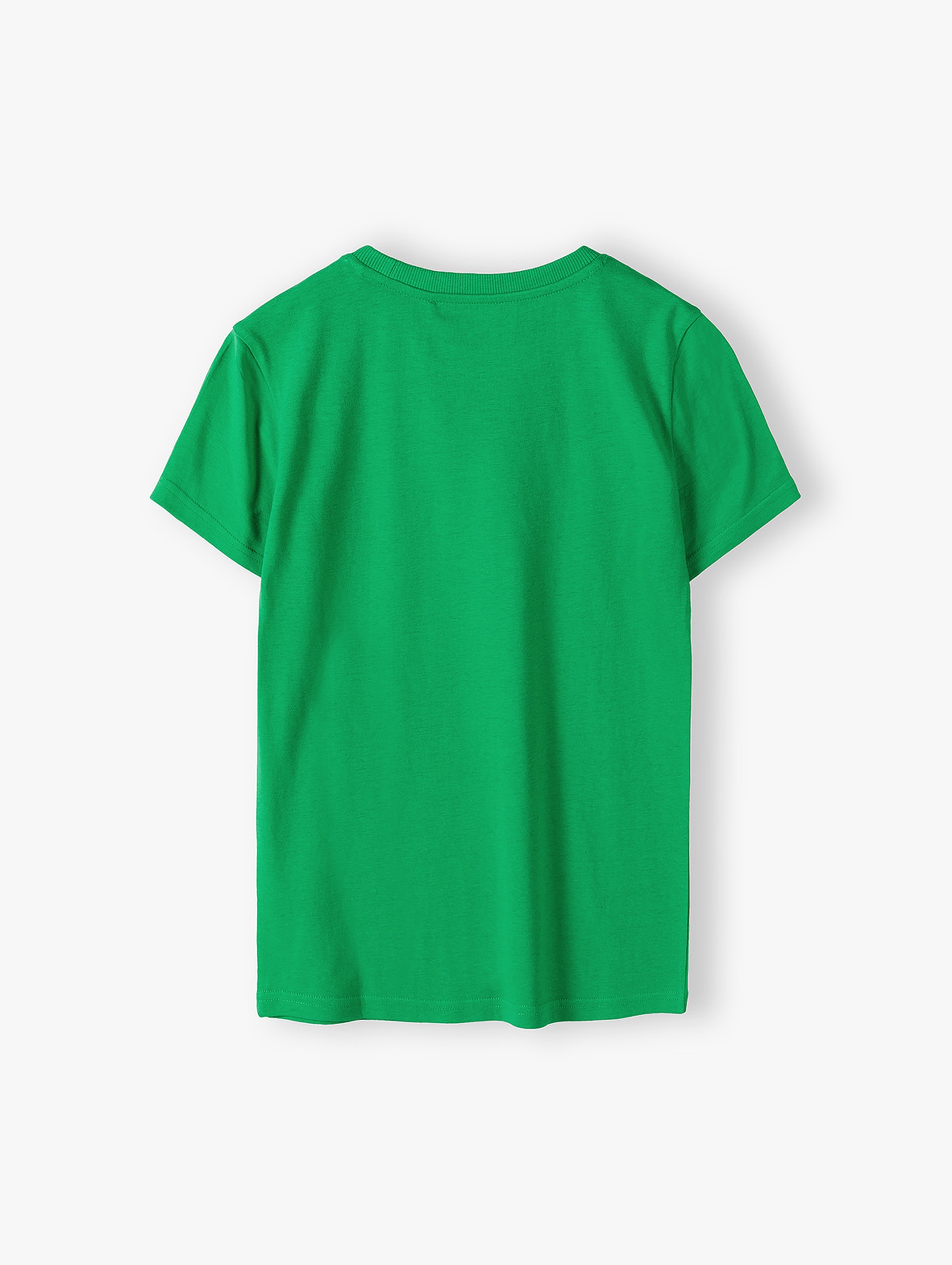 Bawełniany zielony t-shirt dla chłopca - RULES
