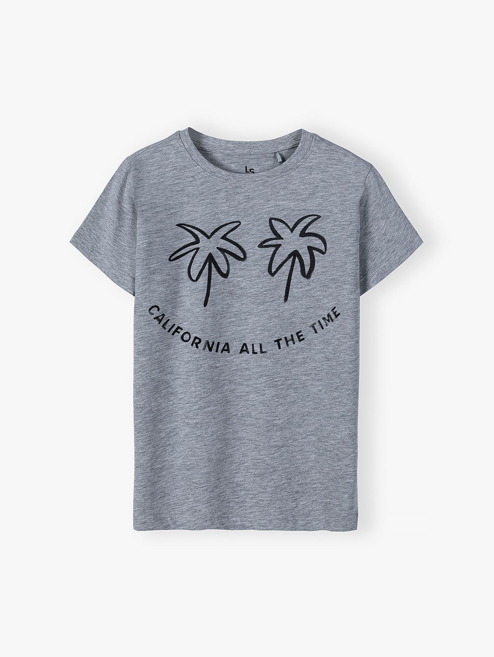 T-shirt dla chłopca szary California