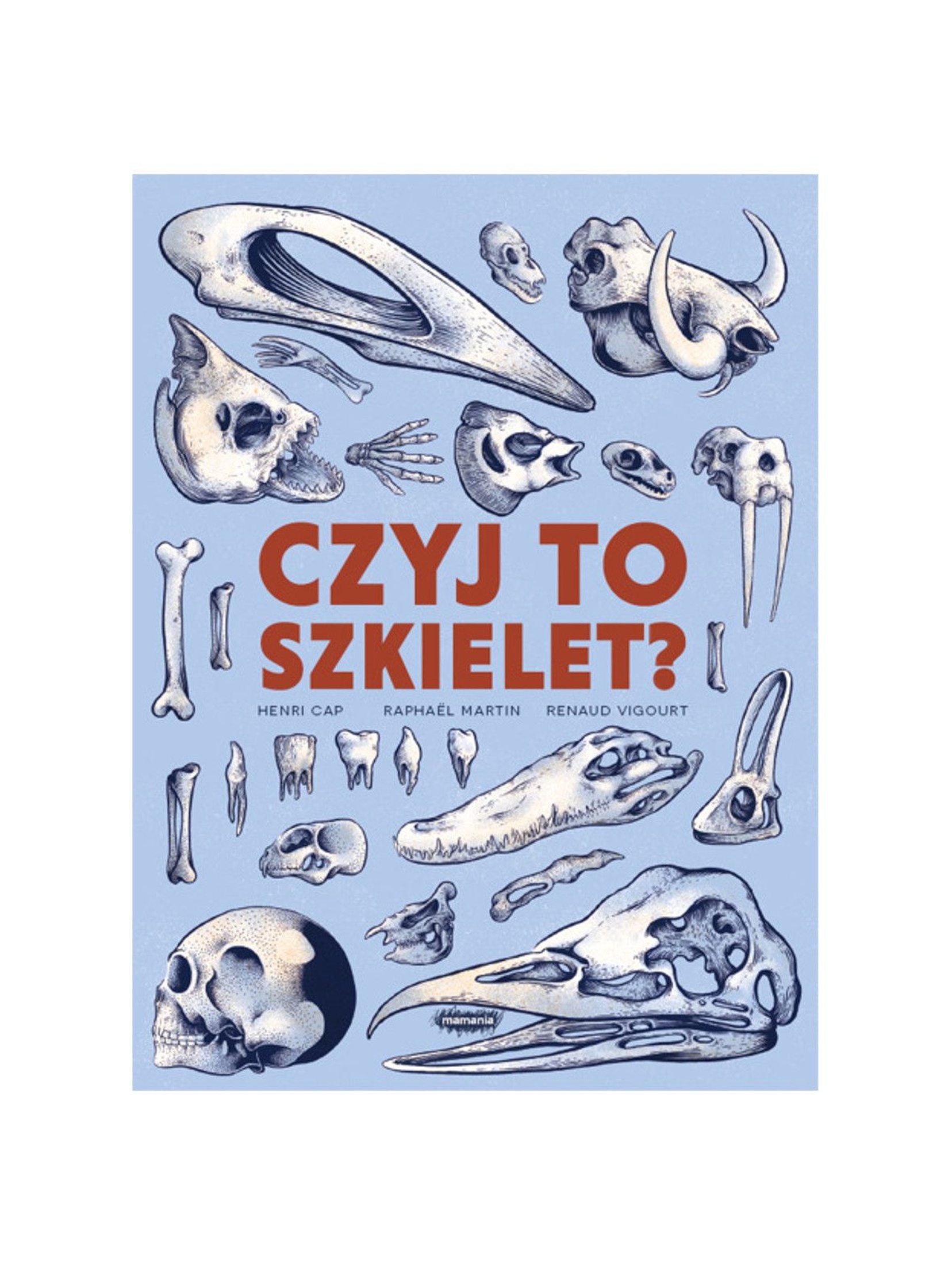 Książka dla dzieci "Czyj to szkielet?"