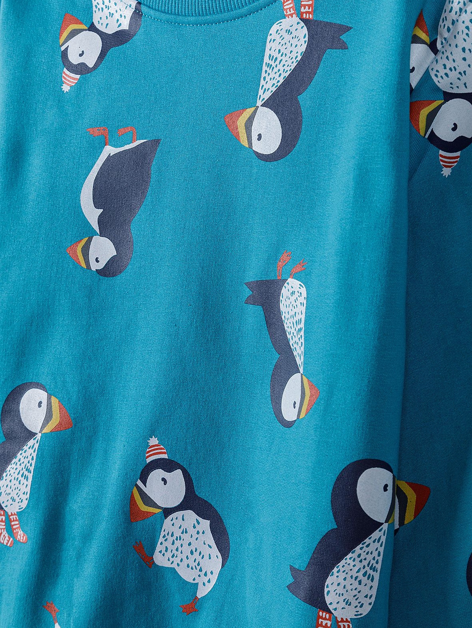 Bluza dresowa chłopięca w Pingwiny