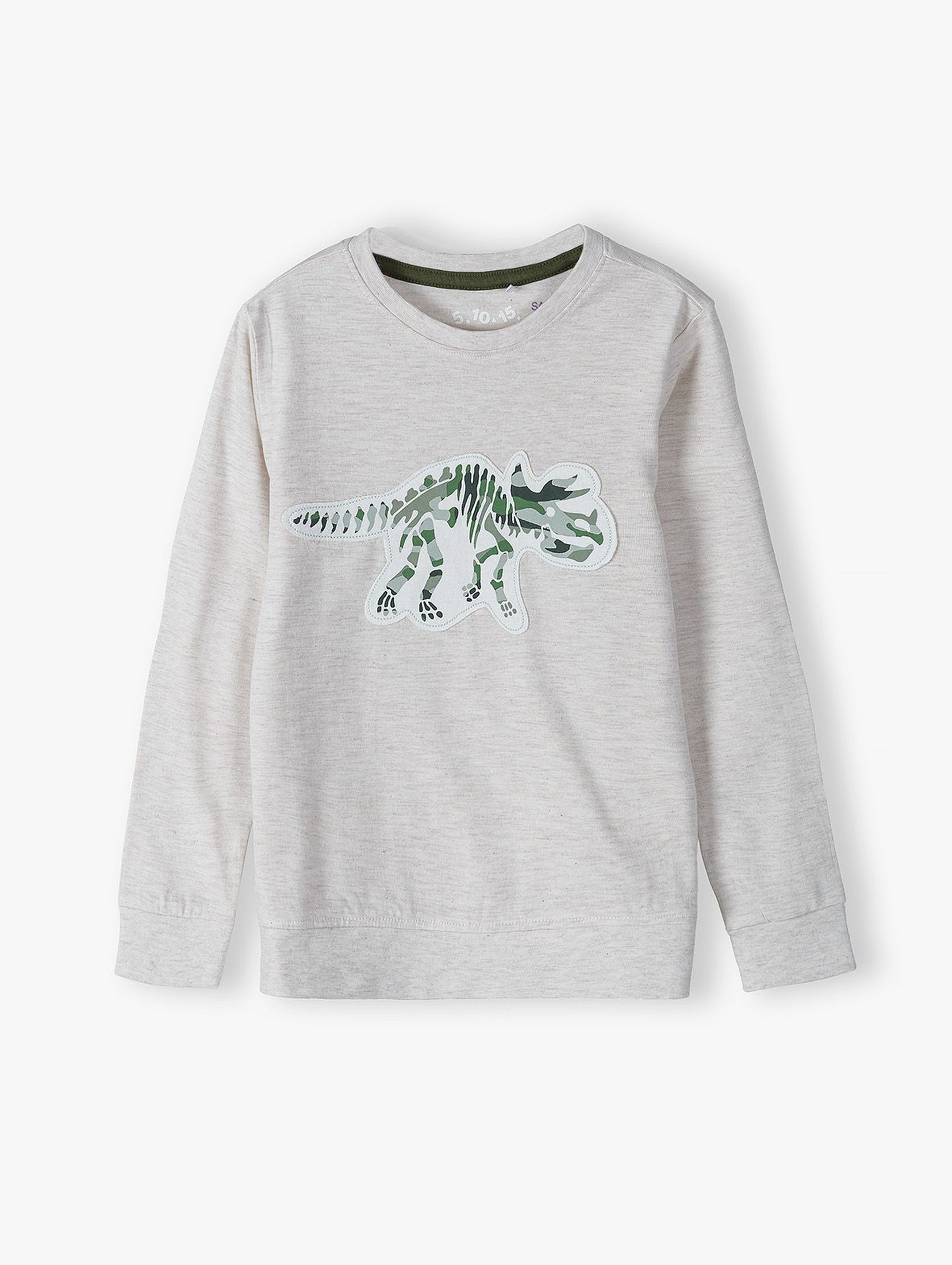 Bluzka chłopięca z długim rękawem w kolorze szarym z dinozaurem