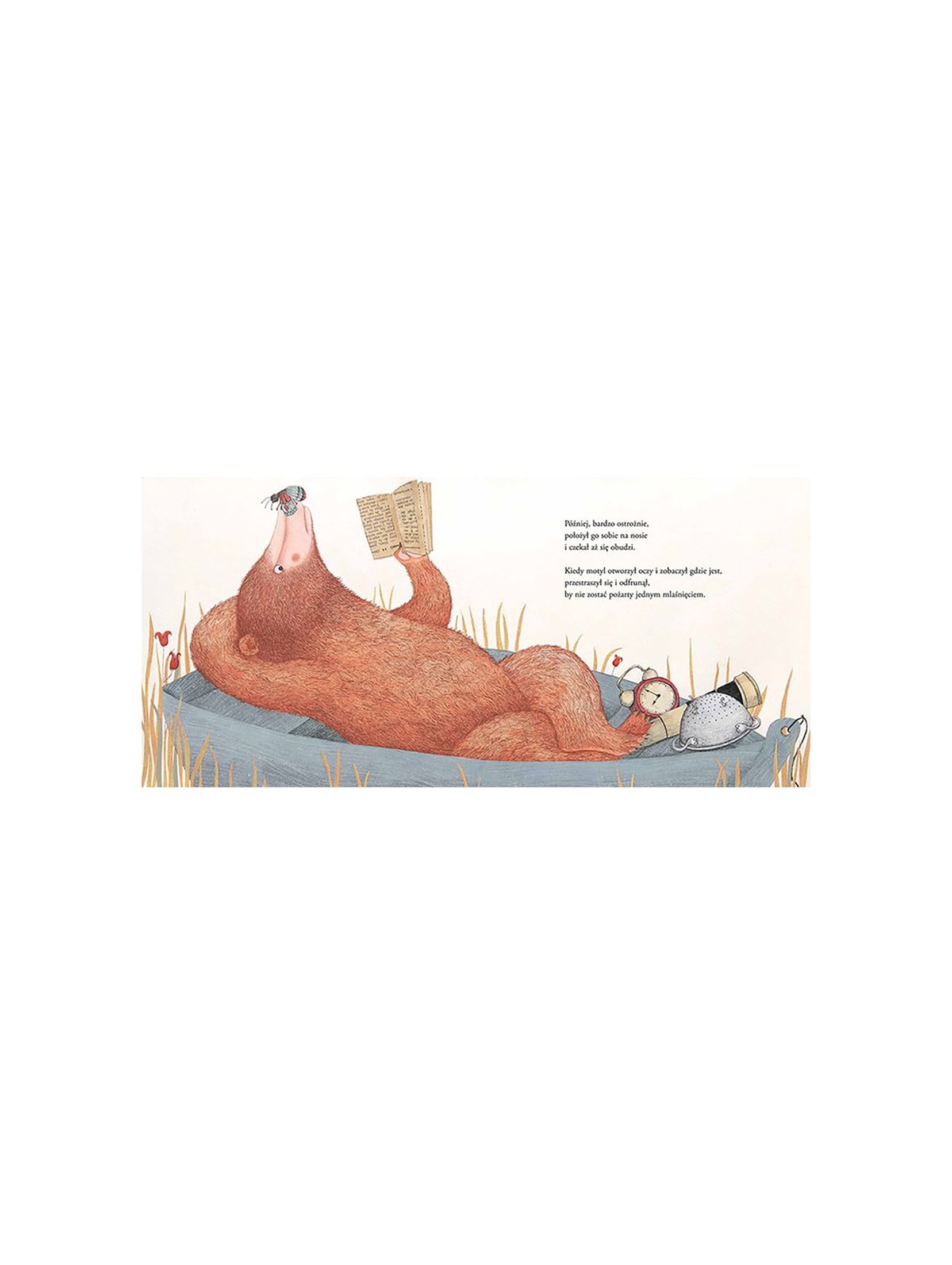 Niedźwiedź łowca motyli - książka dla dzieci