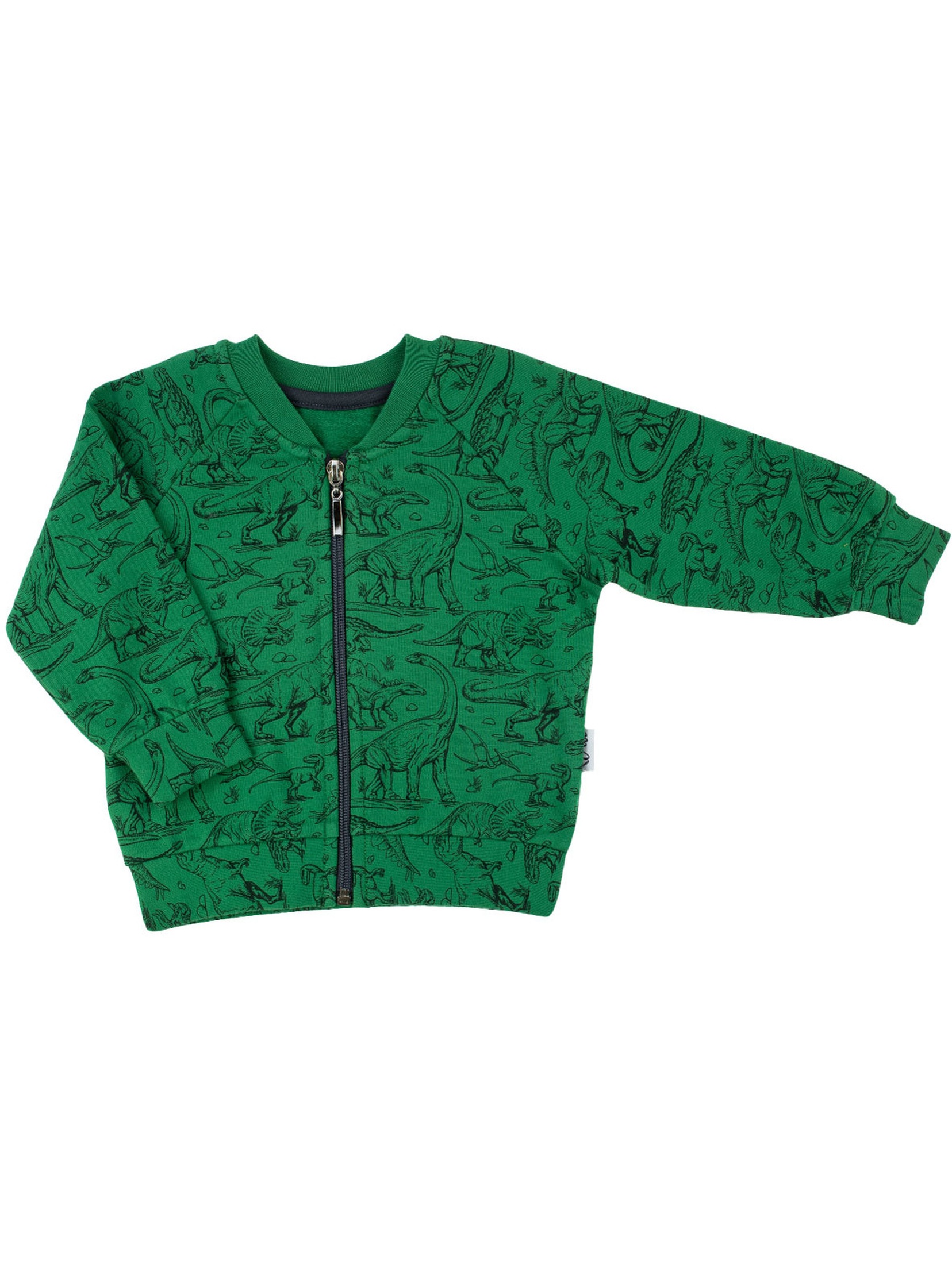 Zielona bluza dresowa chłopięca rozpinana w dinozaury
