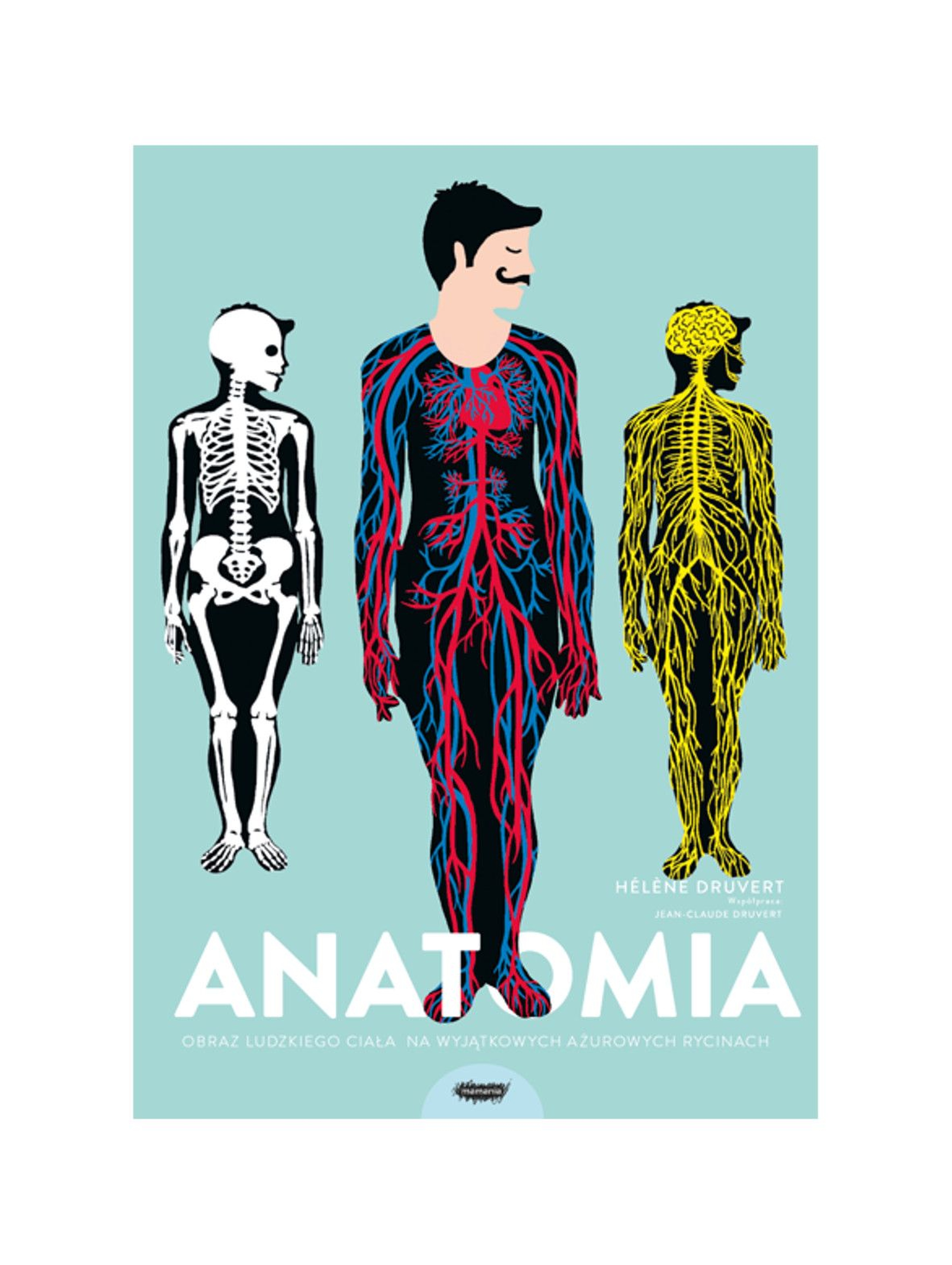 "Anatomia. Obraz ludzkiego ciała na wyjątkowych ażurowych rycinach"