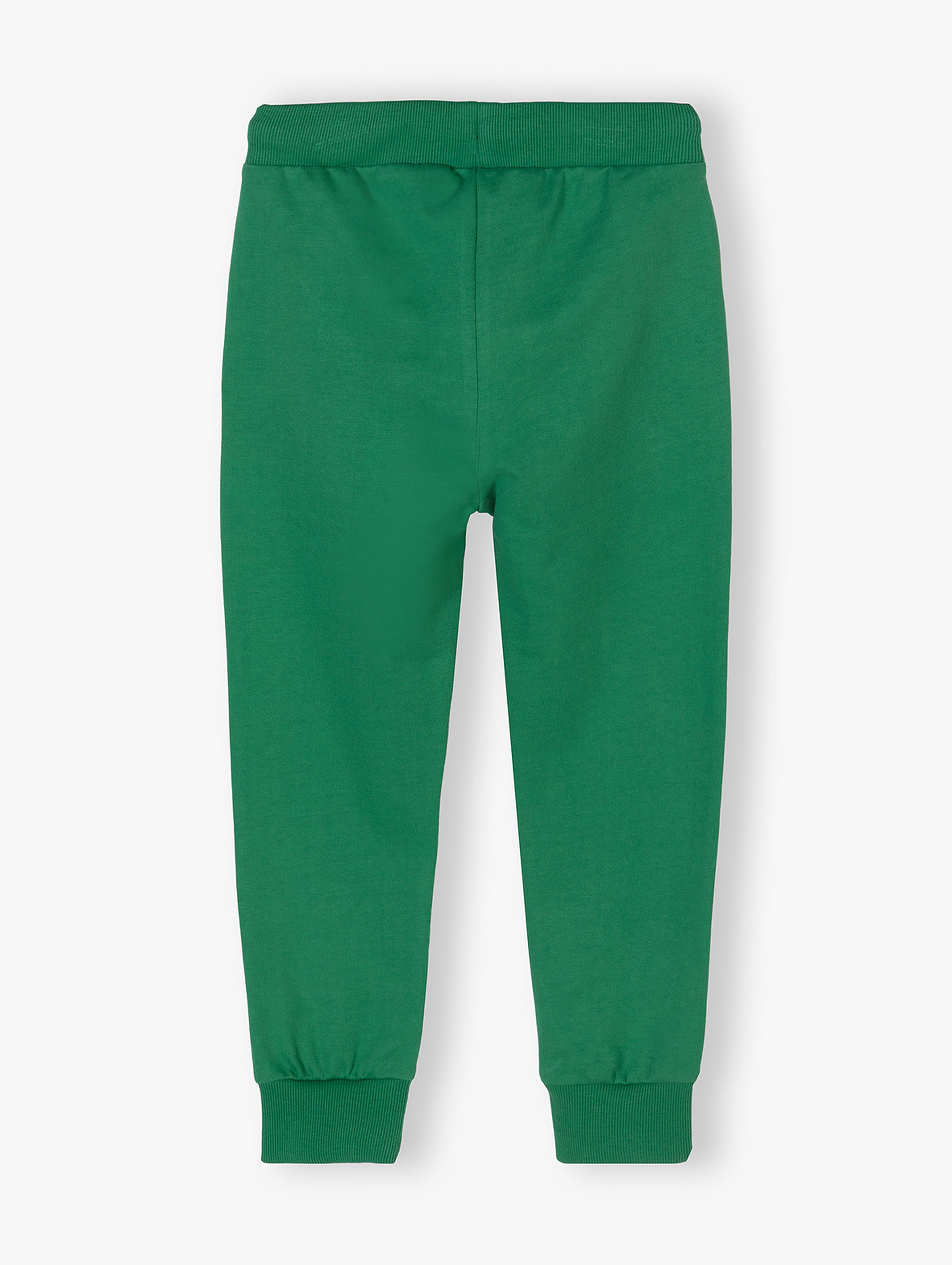 Zielone spodnie dresowe regular fit chłopięce - Dino Team