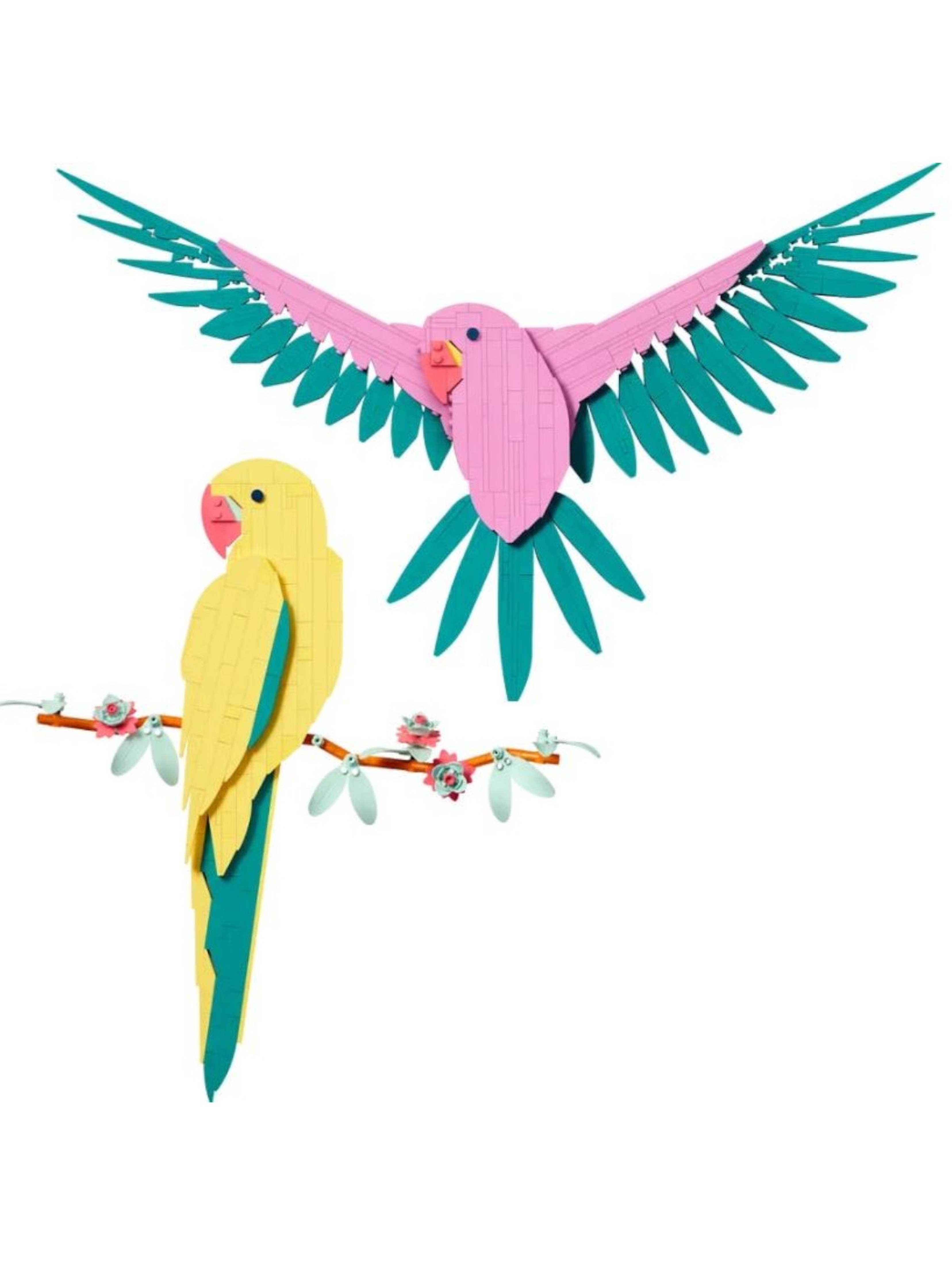 Klocki Art 31211 Kolekcja zwierząt: Papugi Ary