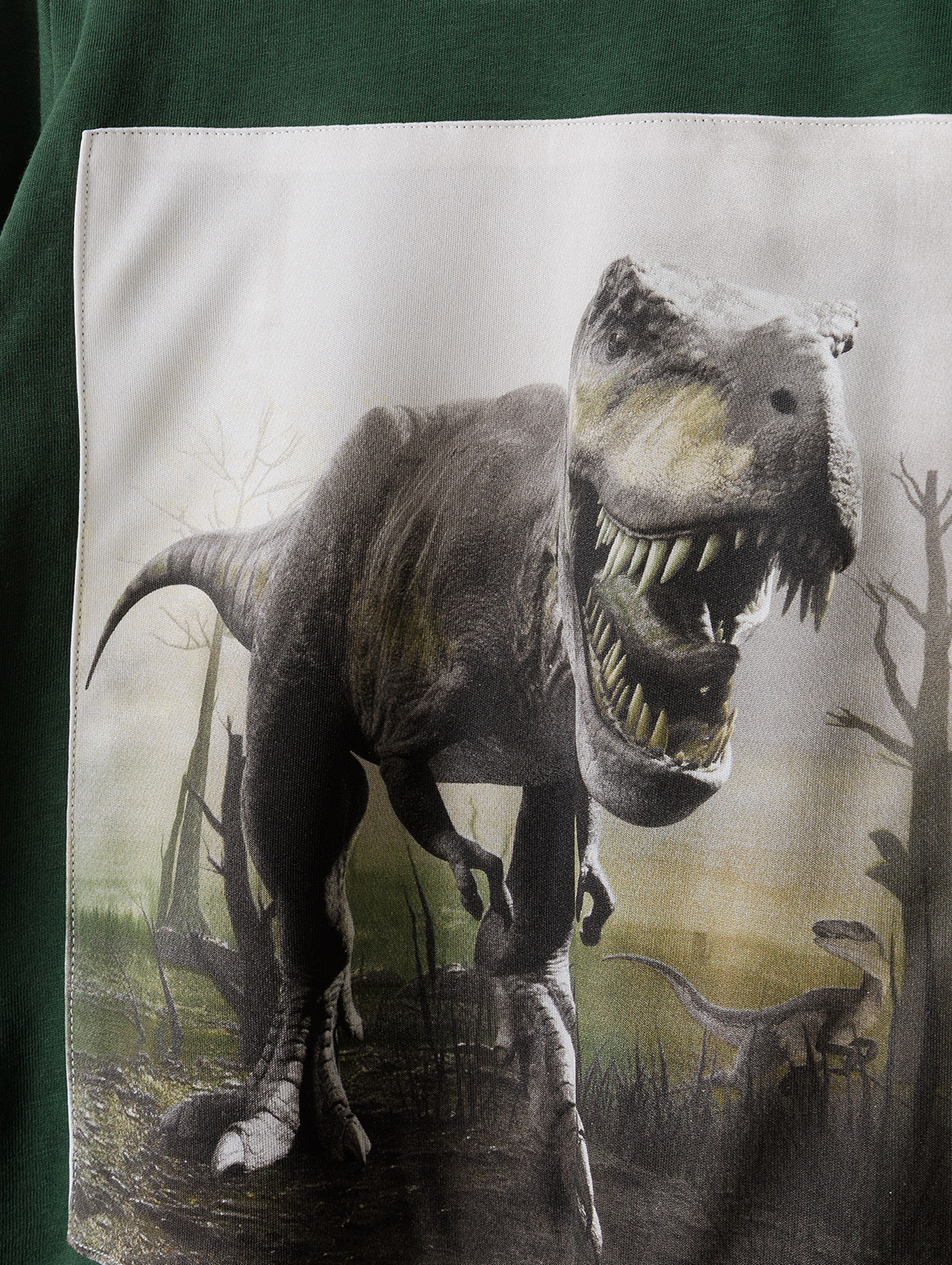 Bawełniana bluza chłopięca z dinozaurem - butelkowa zieleń 5.10.15.