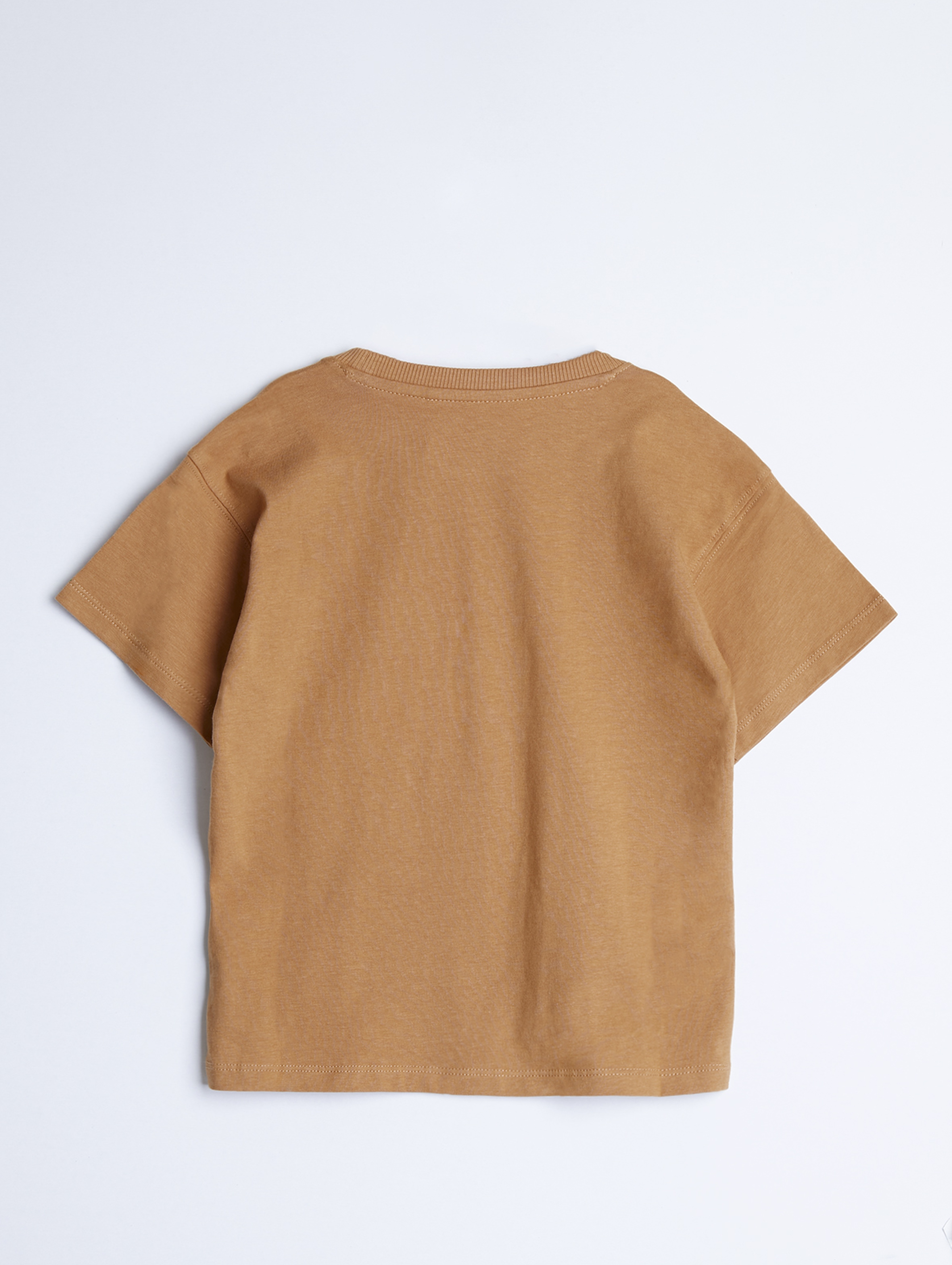 Pudełkowy brązowy t-shirt z żyrafą - unisex - Limited Edition