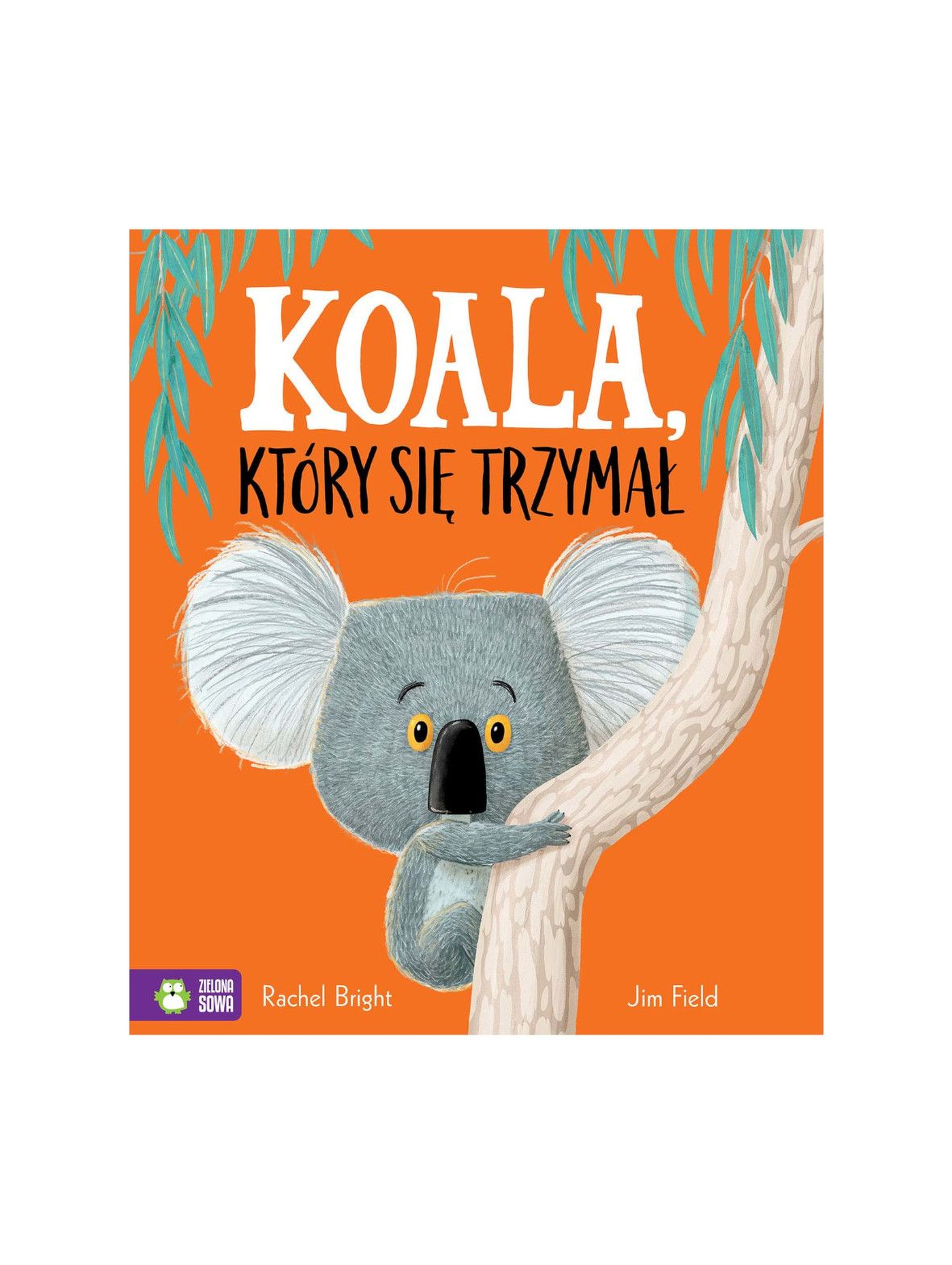 Koala, który się trzymał