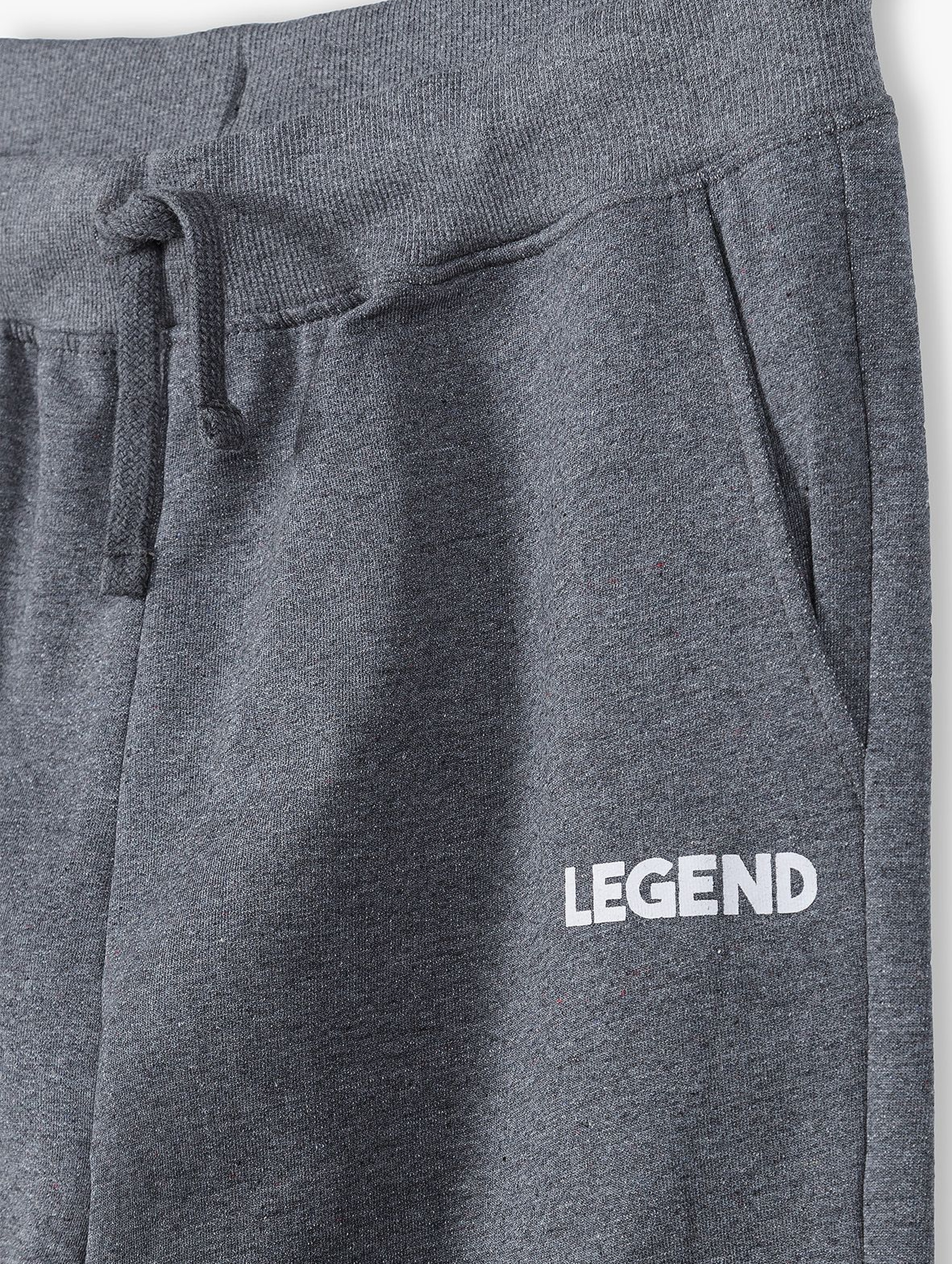 Spodnie dresowe dla mężczyzn szare- Legend- ubrania dla całej rodziny