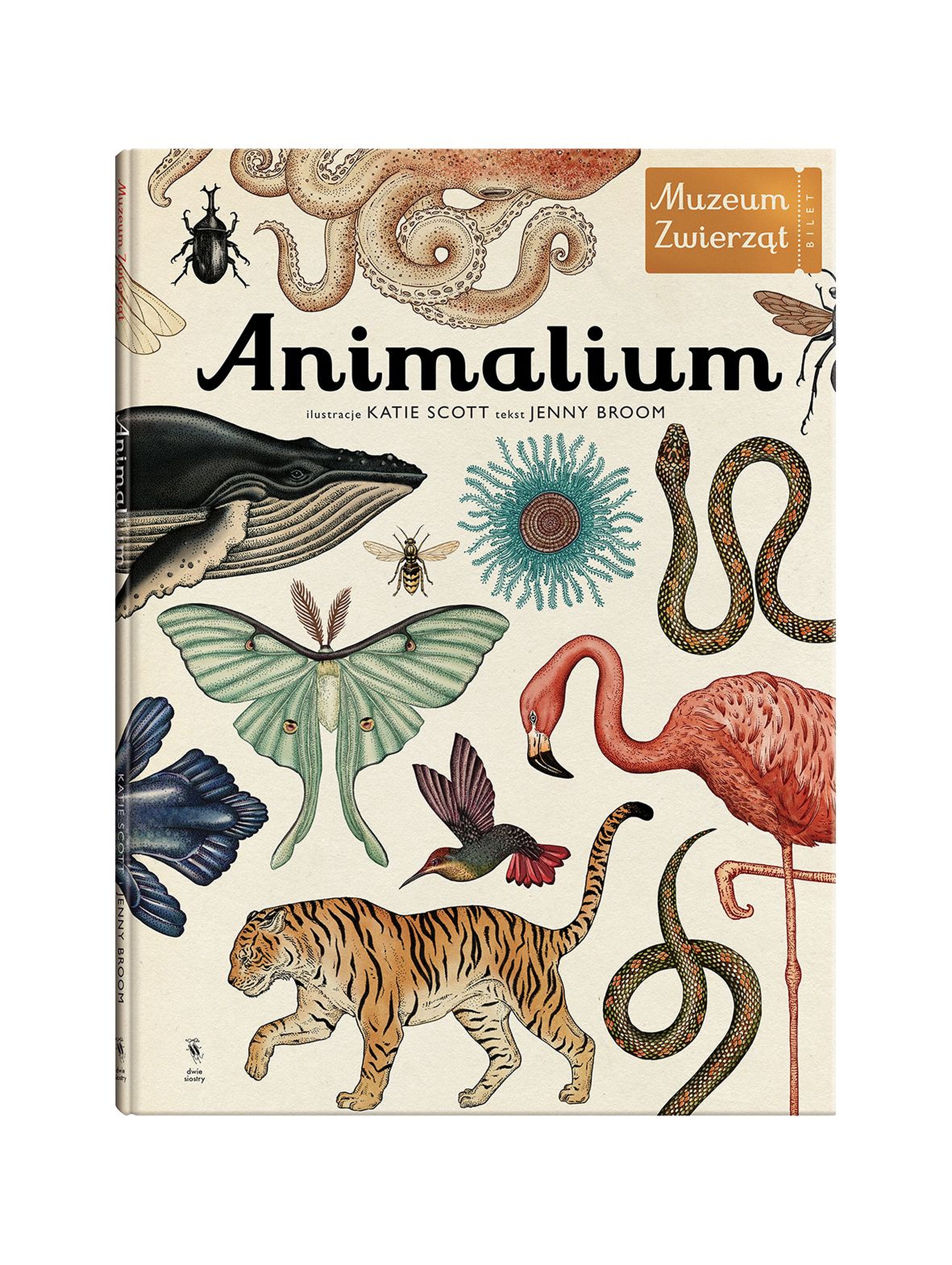 Książka "Animalium"