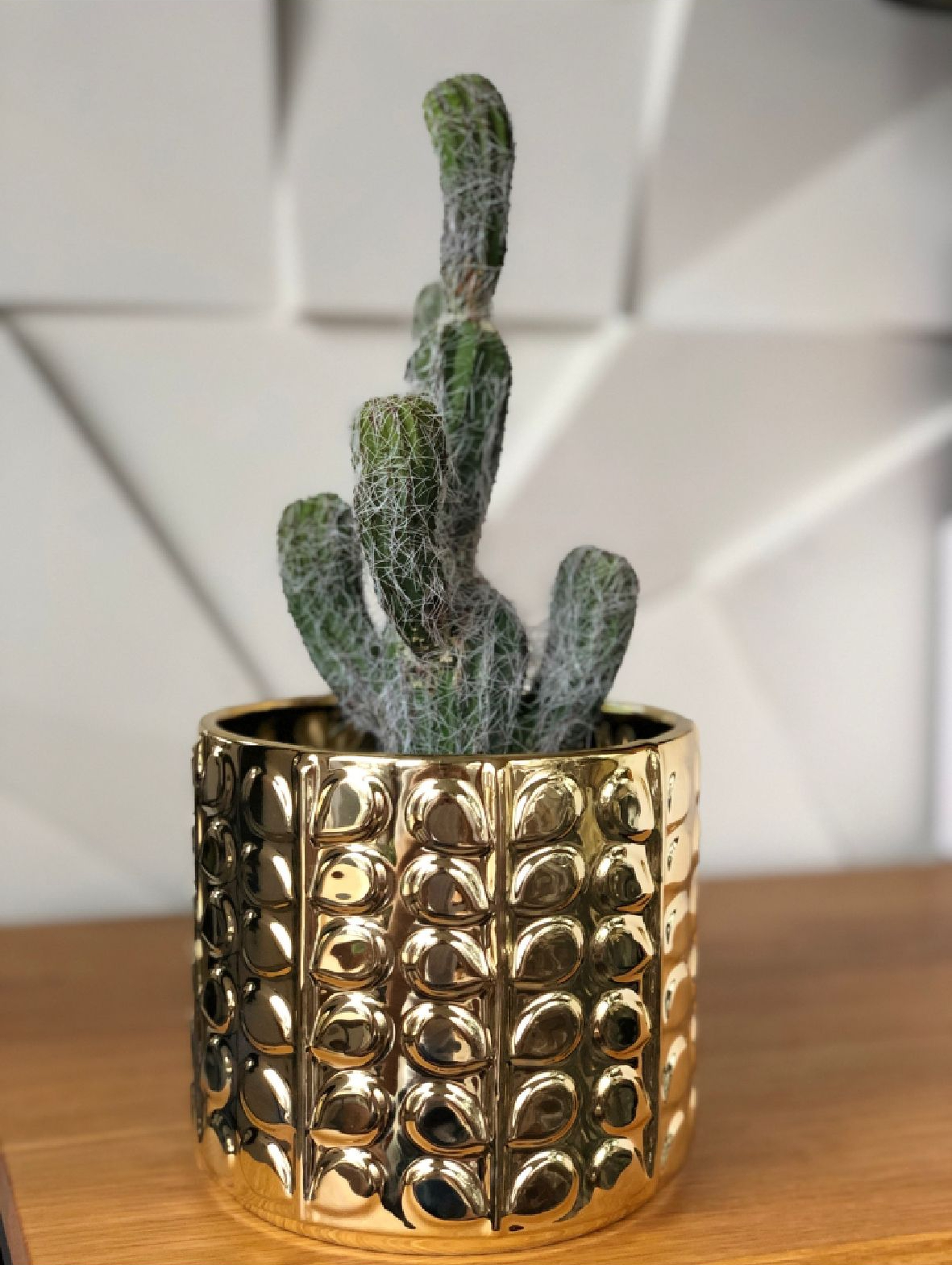 Donica ceramiczna w kształcie cylindra - złota