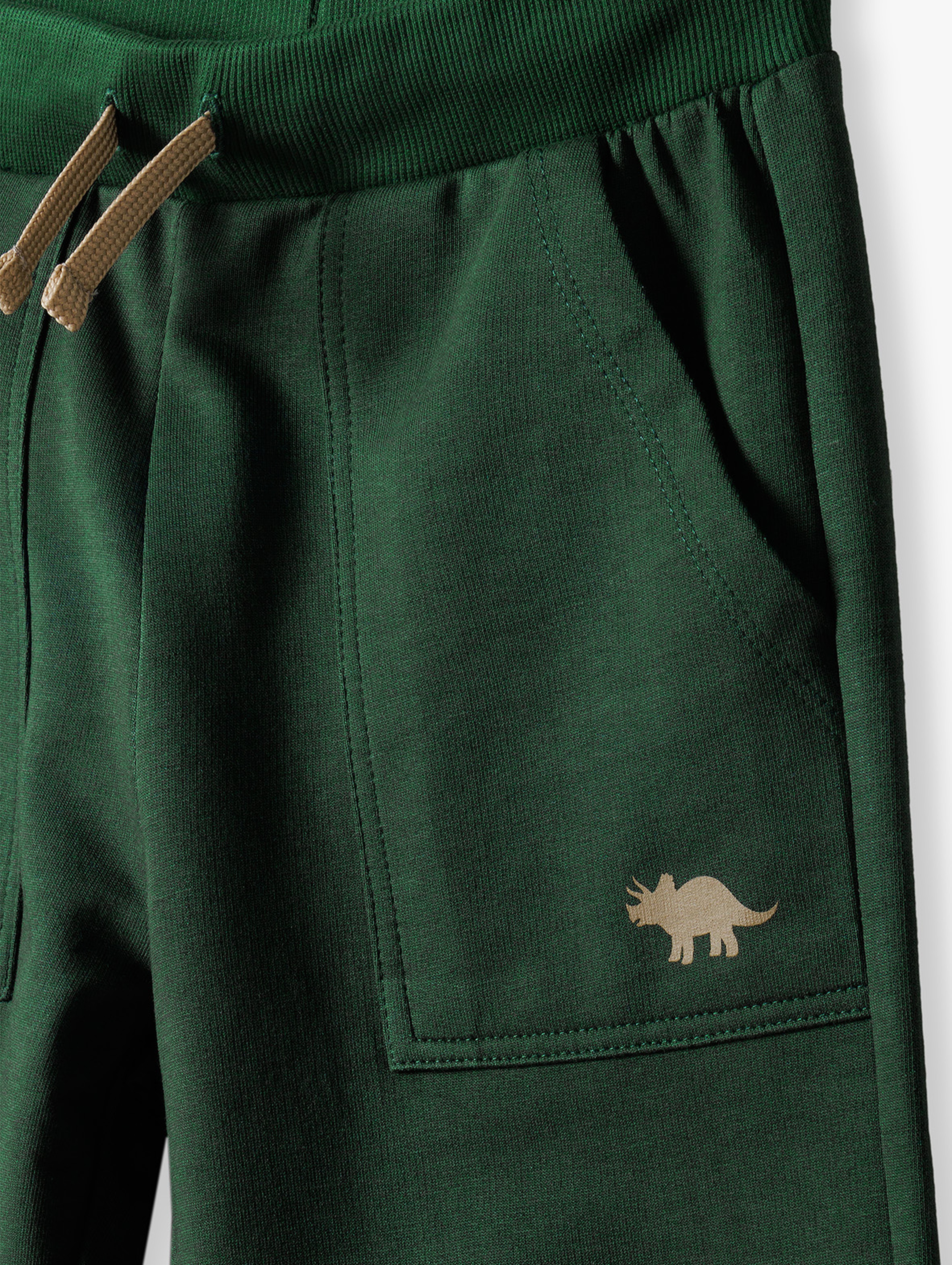 Spodnie dresowe z dinozaurem - butelkowa zieleń