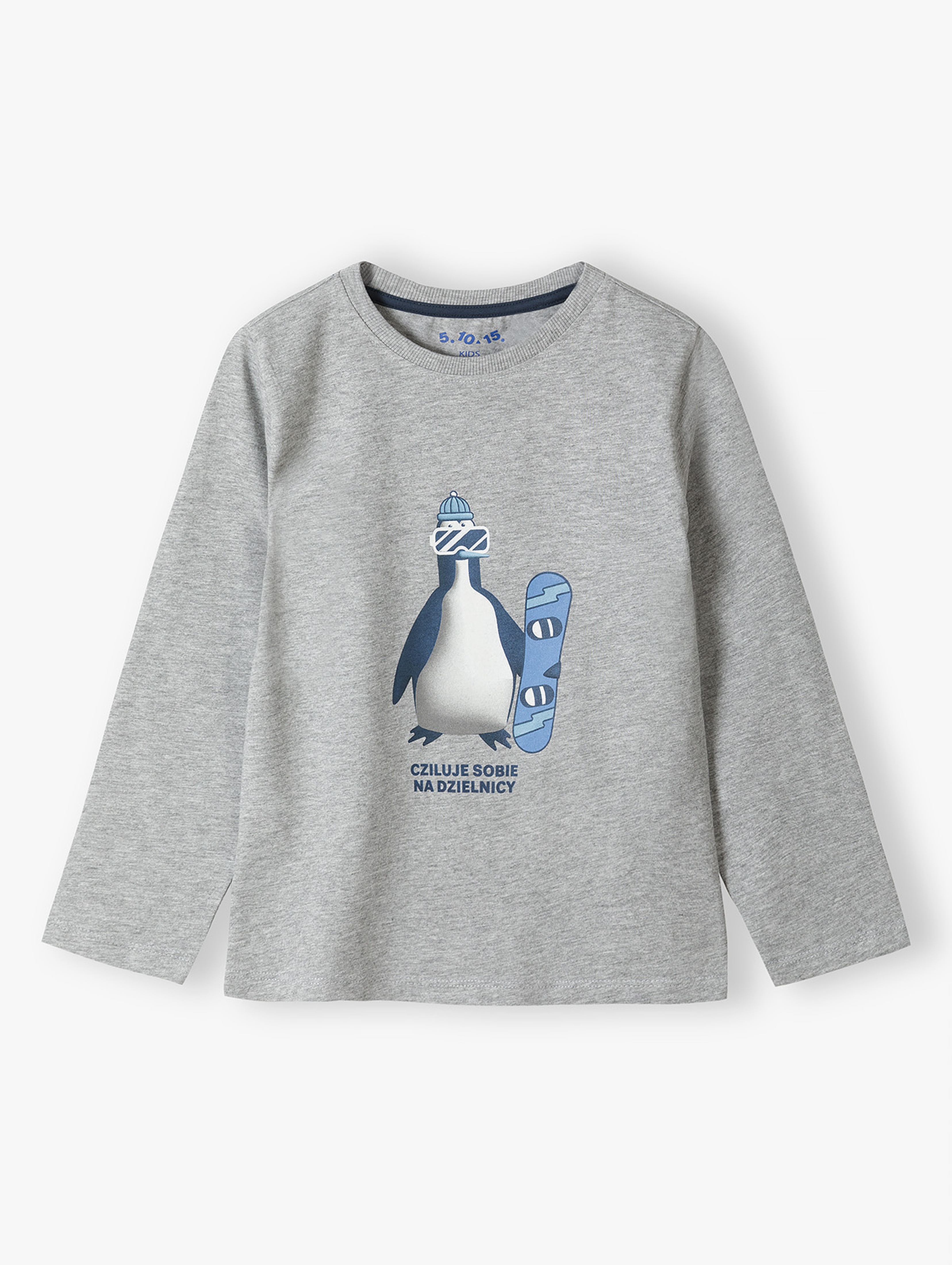 Szara bluzka dzianinowa chłopięca- pingwin