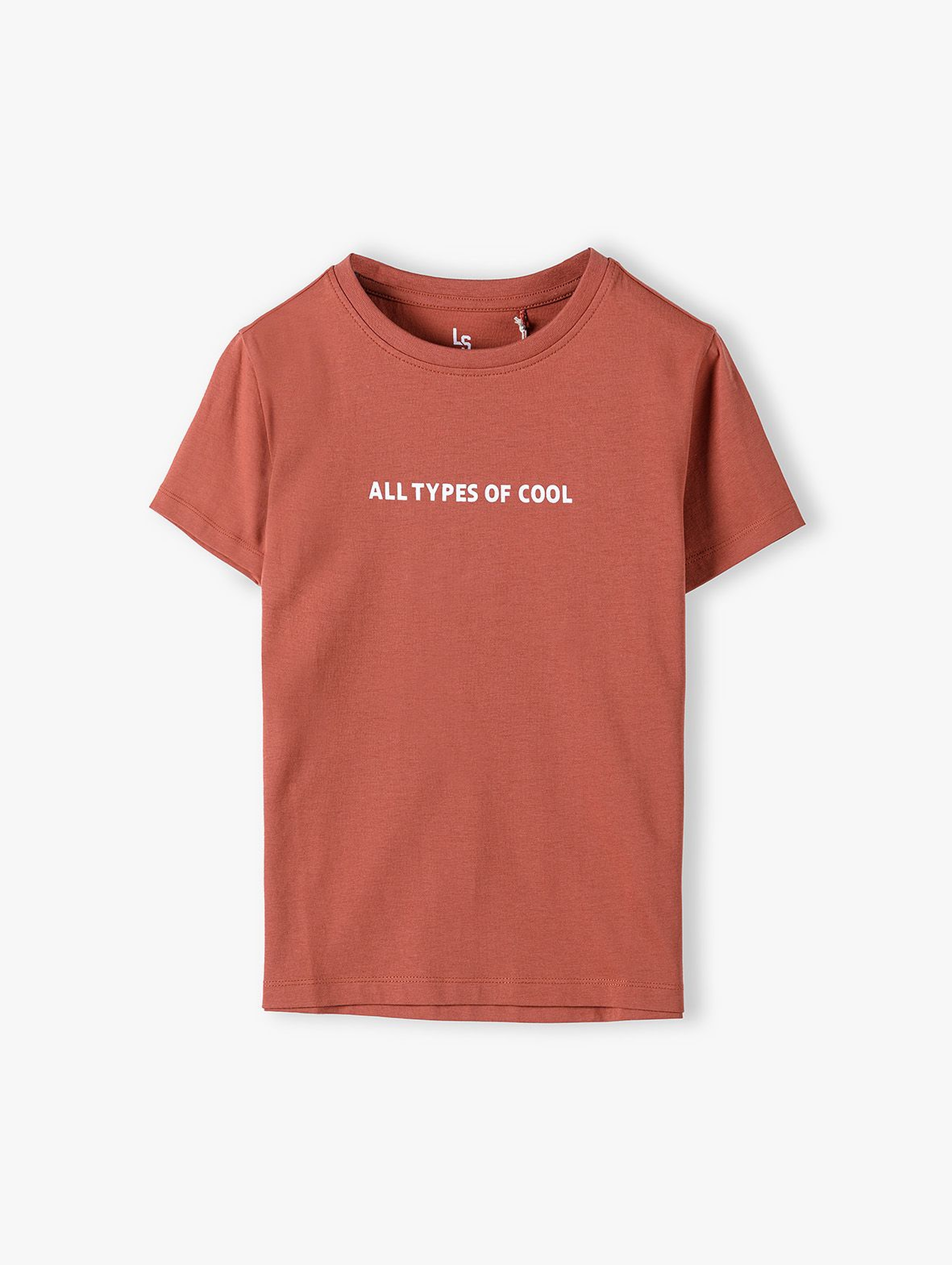 T-shirt chłopięcy - All types of cool brązowa
