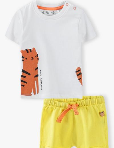 Komplet niemowlęcy T-shirt i spodenki z tygrysem