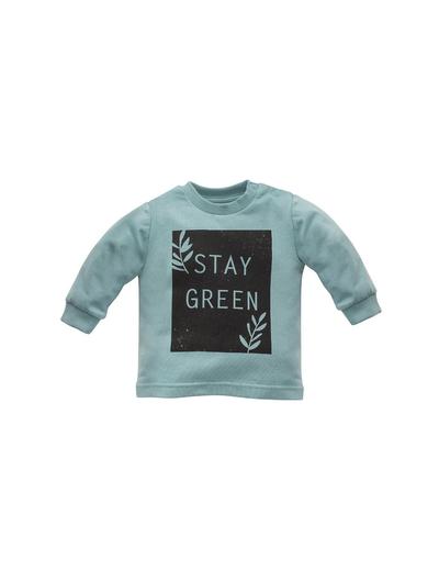 Bluzka niemowlęca - STAY GREEN