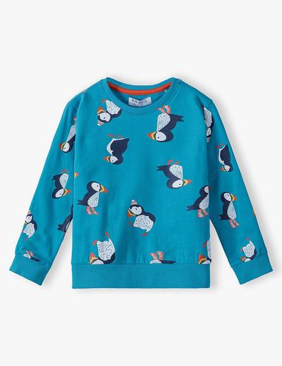 Bluza dresowa chłopięca w Pingwiny