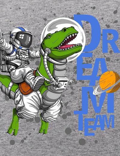 Dzianinowa bluza nierozpinana Astronauta & Dinozaur szara