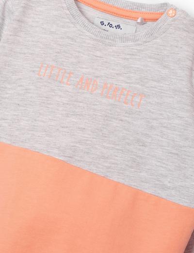 Bluza dresowa dziewczęca z napisem Little and Perfect
