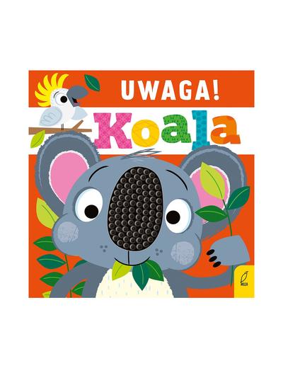 Książka dziecięca - Uwaga, koala!