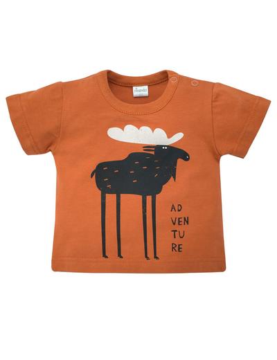 T-Shirt niemowlęcy pomarańczowy Bears Club