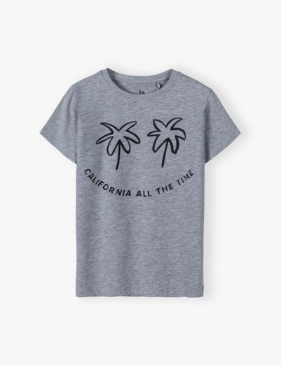 T-shirt dla chłopca szary California
