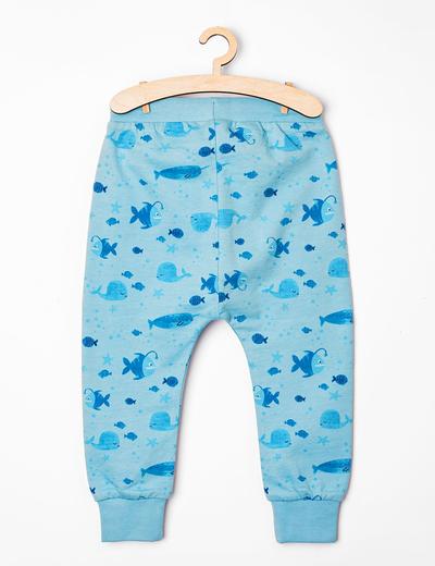 Spodnie dresowe niemowlęce niebieskie