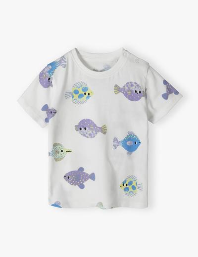 Bawełniana bluzka niemowlęca w rybki - 5.10.15.