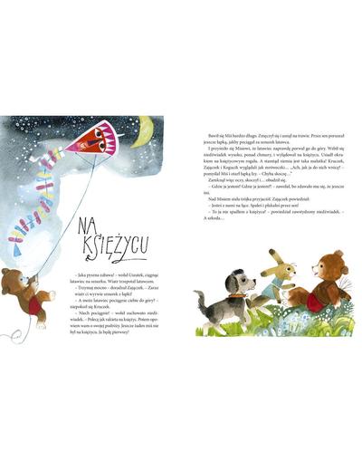 Książka dla dzieci ,,Miś Uszatek" -Cz.Janczarski