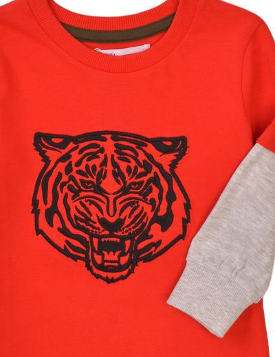 Bluzka chłopięca bawełniana z tygrysem