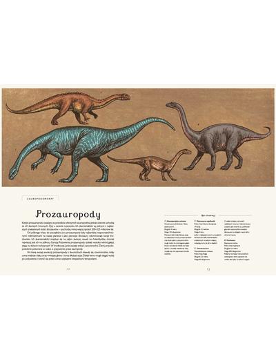 Książka "Dinozaurium"