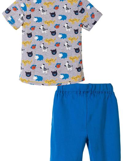 Piżama dla chłopca w kolorowe zwierzaki
