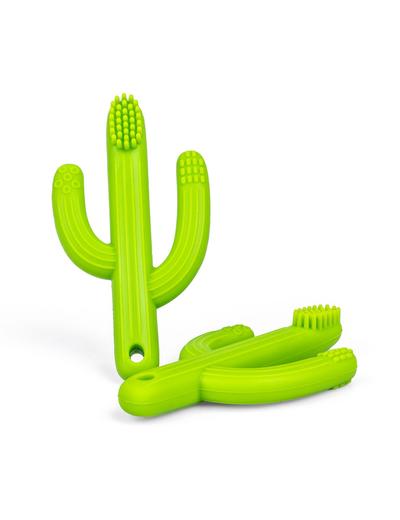 Silikonowy gryzak Kaktus wiek 3msc+
