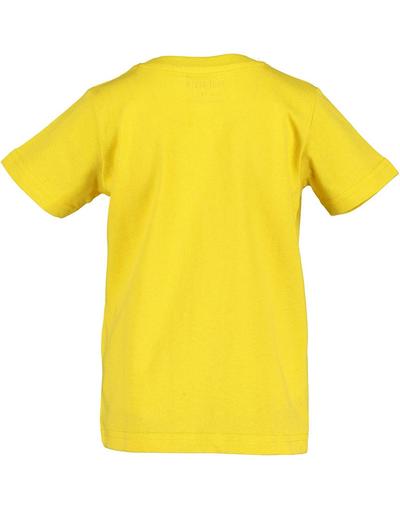 Koszulka chłopięca żółta z nosorożcem