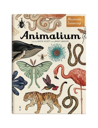 Książka "Animalium"