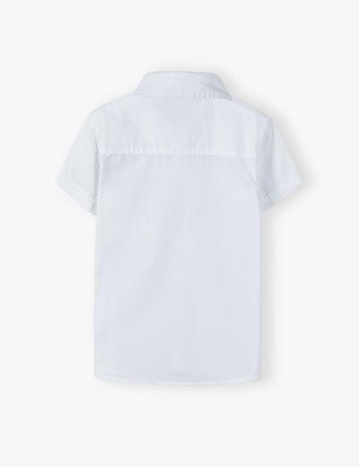 Koszula klasyczna biała z granatową muszką - krótki rękaw