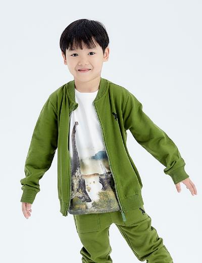 Zielona bluza dresowa dla chłopca z dinozaurem