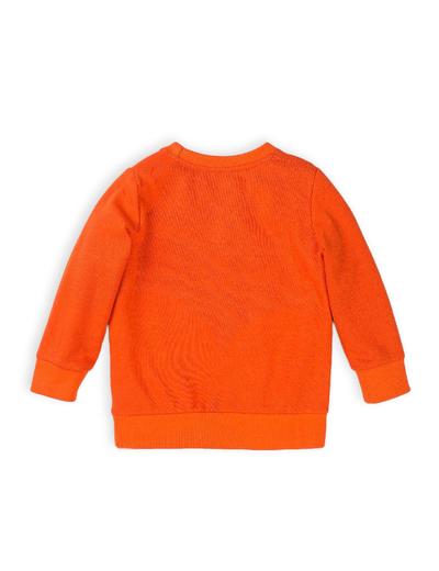 Bluza dresowa niemowlęca pomarańczowa