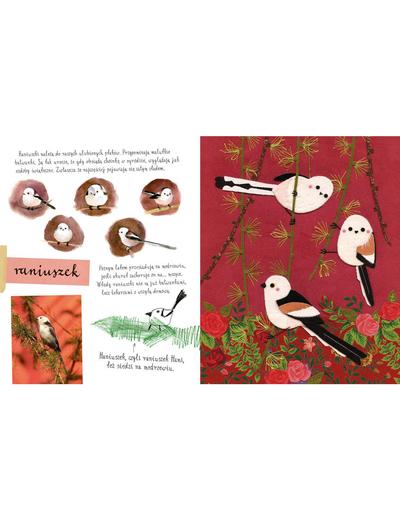 Mały atlas ptaków Ewy i Pawła Pawlaków- książka dla dzieci