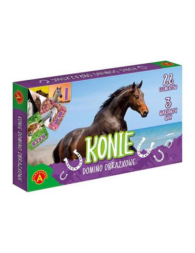 Gra Domino obrazkowe. Konie