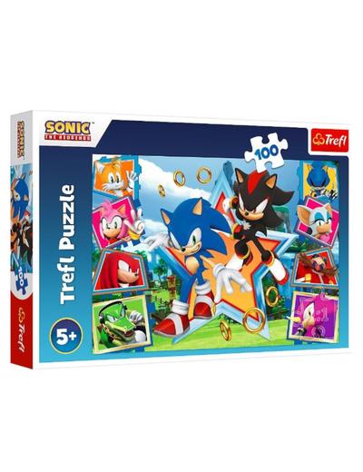 Puzzle 100 elementów Poznaj Sonica Sonic