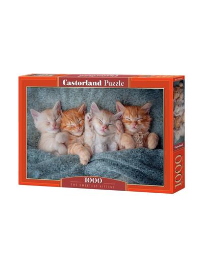 Puzzle 1000 elementów Słodkie kotki