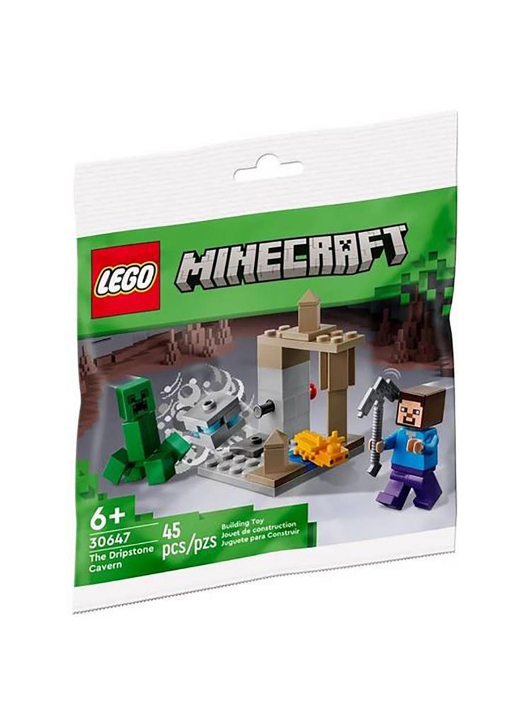 Klocki LEGO Minecraft 30647 Jaskinia naciekowa - 45 elementów,wiek 6 +