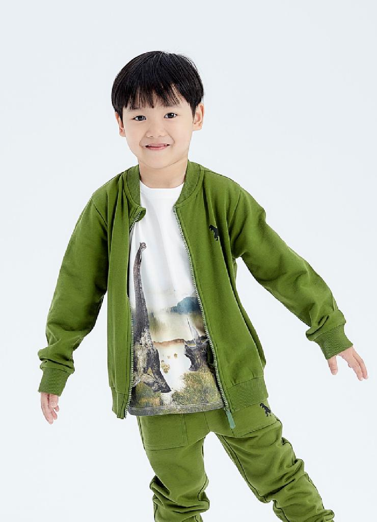 Zielona bluza dresowa dla chłopca z dinozaurem